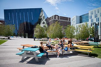 Case Western Picnic Table